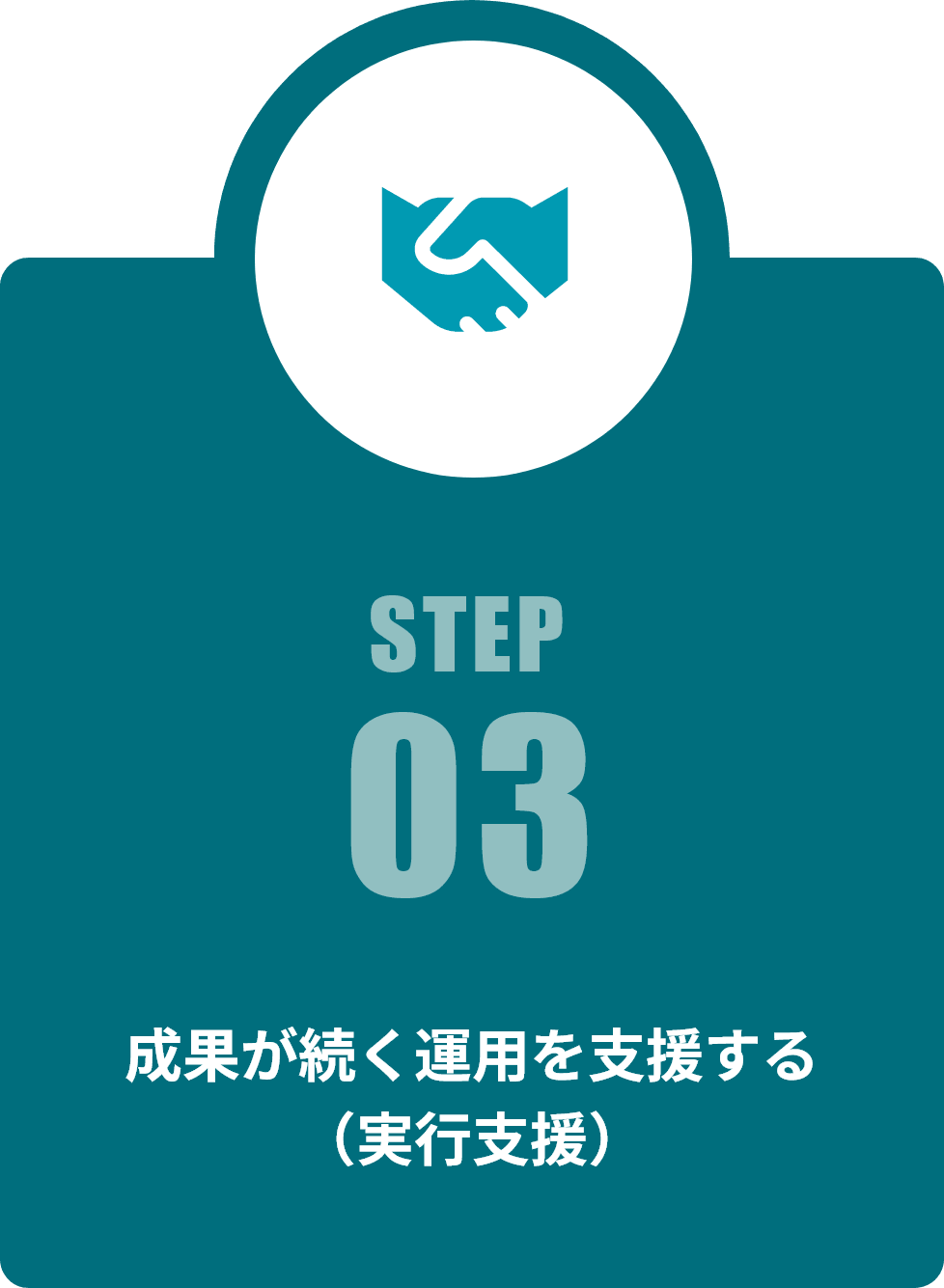 STEP 03 成果が続く運用を支援する（実行支援）
